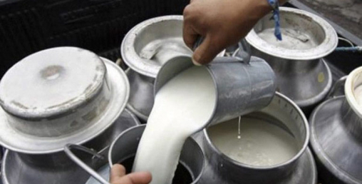 दूधमा किसानलाई प्रतिलिटर पन्ध्र अनुदान, ३३ लाख ४६ हजार वितरण